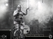 Liser-Egelsbach-Raus_ausm_Keller-31-08-2024-TF-18