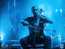 Sperling-Egelsbach-Raus_ausm_Keller-31-08-2024-TF-29