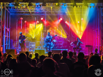 Sperling-Egelsbach-Raus_ausm_Keller-31-08-2024-TF-32