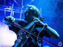 Sperling-Egelsbach-Raus_ausm_Keller-31-08-2024-TF-4