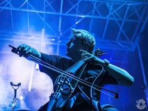 Sperling-Egelsbach-Raus_ausm_Keller-31-08-2024-TF-5