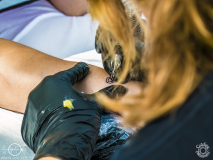 Stimmung-Egelsbach-Raus_ausm_Keller-31-08-2024-TF-17