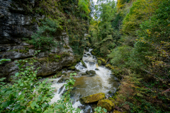 DSC07150