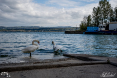 Impressionen-Morgarten-Fest-0510-2024-StS-07180