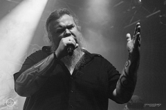 2024-10-12-Eisregen-Ruesselsheim-Das-Rind-PS1789-