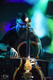 2024-11-15-The-Arch-Ruesselsheim-Das-Rind-PS4209-