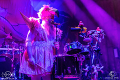 Trollfest-Berlin-Kesselhaus-Heidenfest2026-12-01-2026-AS-DSC09717