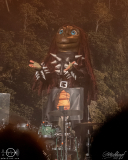 HeavySaurus-Posthalle-Wuerzburg-1603-2025-STS-02029