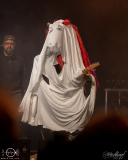 HeavySaurus-Posthalle-Wuerzburg-1603-2025-STS-02041