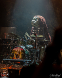HeavySaurus-Posthalle-Wuerzburg-1603-2025-STS-02047