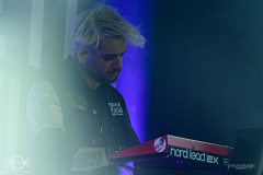 2025-05-25-Aesthetic-Perfection-Das-Rind-PS6206-