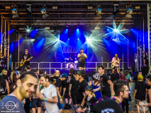 Blacktoothed-Dieburg-Traffic_Jam-FR-18-07-2025-TF-10