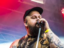 Blacktoothed-Dieburg-Traffic_Jam-FR-18-07-2025-TF-2