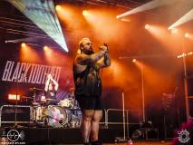 Blacktoothed-Dieburg-Traffic_Jam-FR-18-07-2025-TF-20