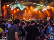 Blacktoothed-Dieburg-Traffic_Jam-FR-18-07-2025-TF-22