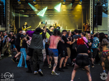 Blacktoothed-Dieburg-Traffic_Jam-FR-18-07-2025-TF-24