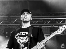 Blacktoothed-Dieburg-Traffic_Jam-FR-18-07-2025-TF-6