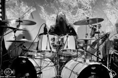concert photography