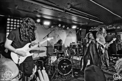 concert photography