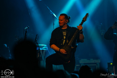 Waldkauz-Berlin-Astra-10-09-2025-ST-IMG_5884