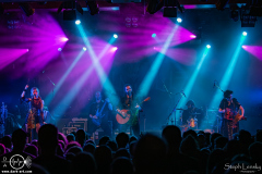 Waldkauz-Berlin-Astra-10-09-2025-ST-IMG_5885