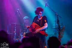 Waldkauz-Berlin-Astra-10-09-2025-ST-IMG_5896