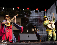 HeiterbisFolkig-FestivalMediaval-Seb20250913-A67A0261-LH