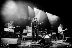 Birds_View-Capitol-Offenbach-31-10-2025-CWi-12