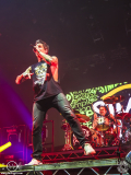 Simple_Plan-Festhalle-Frankfurt-02-11-2025-TF-33