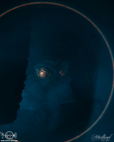 Wind-Rose-Geiselwind-2410-2025-STS-01699