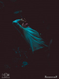 aviana-oldenburg-amadeus-voidtour-005