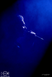 Vanguard-Epicenter-Festival-Frankfurt-Batschkapp-29-11-2025-PS-6746