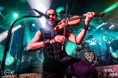 dArtagnan-Herzblut-Tour-Aschaffenburg-11-12-2025-MM-DA2_8616