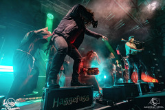 Haggefugg-Potsdam-Waschhaus-EisheiligeNacht2026-30-12-2025-AS-DSC03761