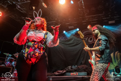 Kupfergold-Potsdam-Waschhaus-EisheiligeNacht2026-30-12-2025-AS-DSC04638