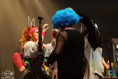 SubwayToSally-Potsdam-Waschhaus-EisheiligeNacht2026-30-12-2025-AS-DSC07335