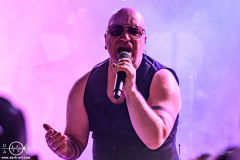 Nitzer-Ebb-Frankfurt-Das-Bett-2026-02-25-PS-6388