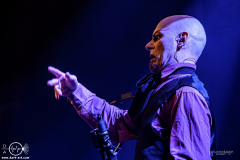 Coppelius-Frankfurt-Das-Bett-2026-02-27-PS-7848