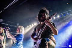 Tulip-20-02-2024-rh-3838-done