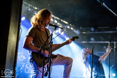 Tulip-20-02-2024-rh-3994-done