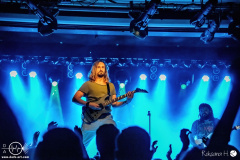 Tulip-20-02-2024-rh-4176-done