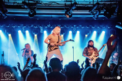 Tulip-20-02-2024-rh-4183-done