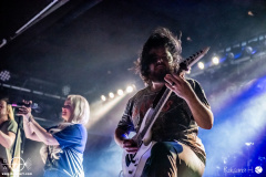 tulip-21-02-2024-rh-3838