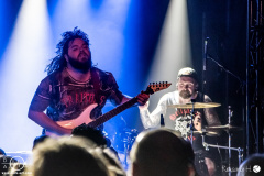 tulip-21-02-2024-rh-4159