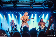 tulip-21-02-2024-rh-4183