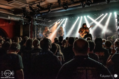 tulip-21-02-2024-rh-5193