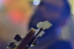 Devil-may-care_b-hof-Würzburg_DMC_0827