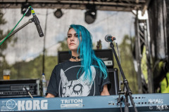 Nyctopia-Boarstream-Open-Air-22-07-2023-MM-2521-denoised