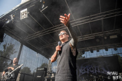 Necrotted-Boarstream-Open-Air-22-07-2023-MM-5253-denoised