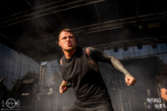 Necrotted-Boarstream-Open-Air-22-07-2023-MM-5270-denoised